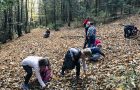 AKTIVNOSTI V OKVIRU PROJEKTA GOZD IN NARAVNO OKOLJE SKOZI OTROKOVE OČI