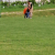 kros_002