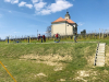 pomlad_255